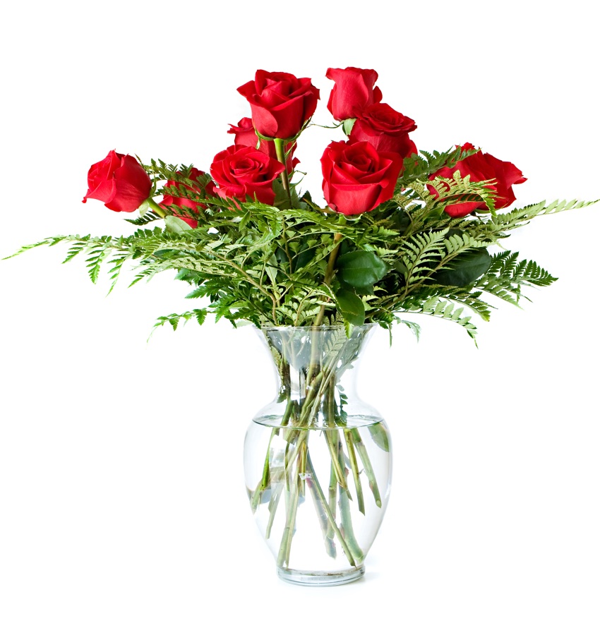 12 Red Roses