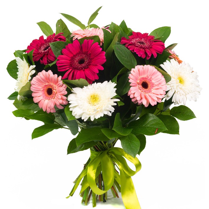 mixed gerberas 