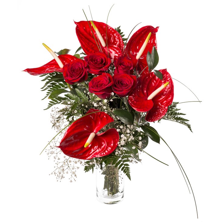 red roses and red anthurium