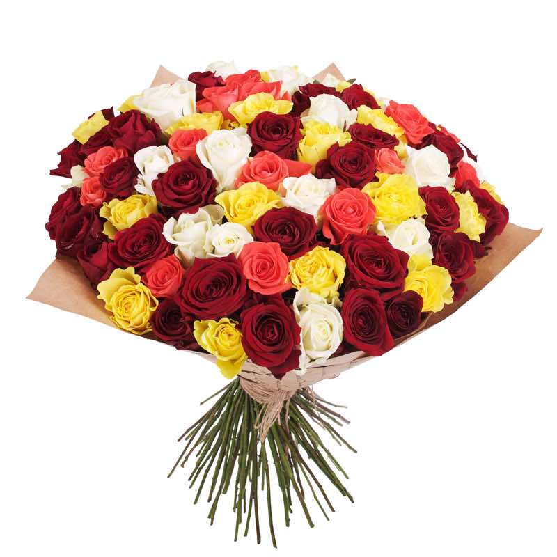 50 mixed roses