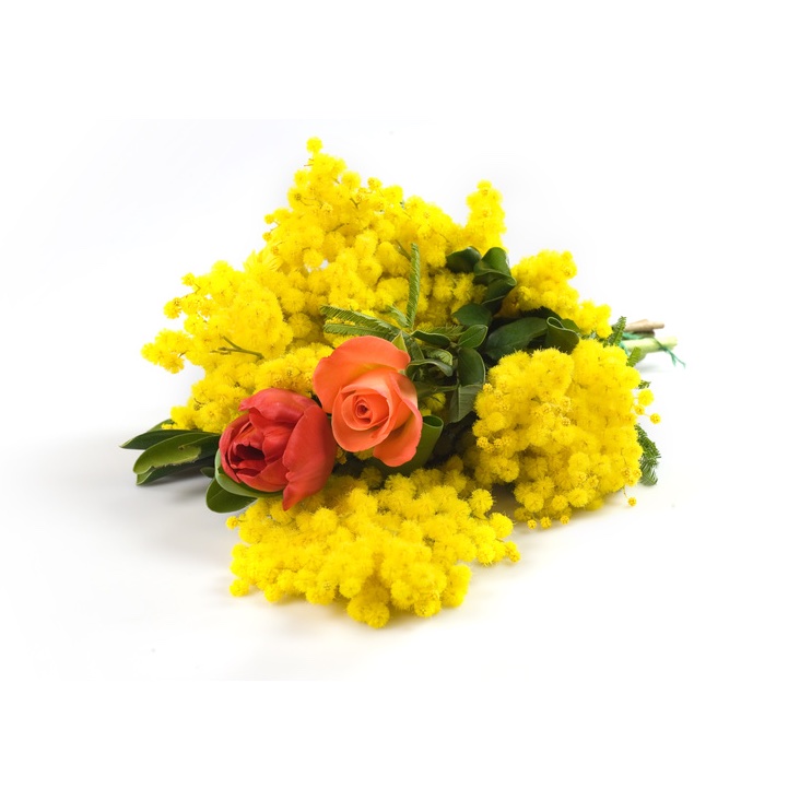 mazzo di mimose con rose