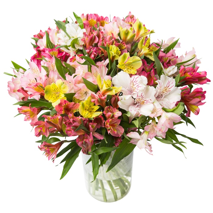 bouquet alstromeria miste