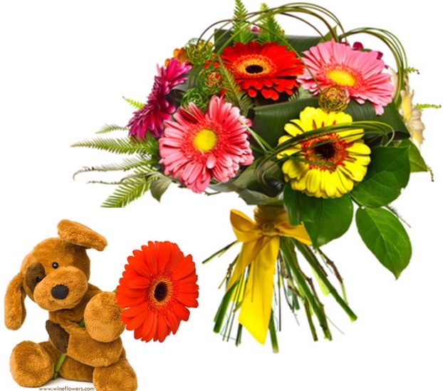 teddy bear and gerberas