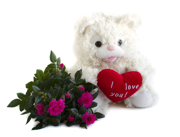 bouquet pink roses and teddy bear 