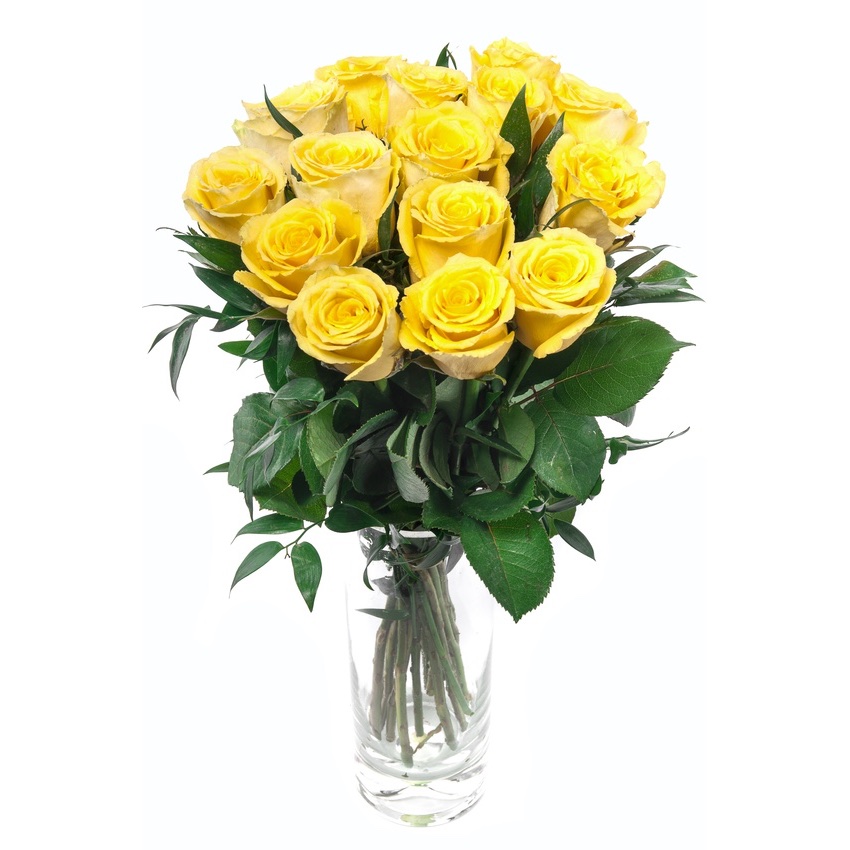 yellow roses 